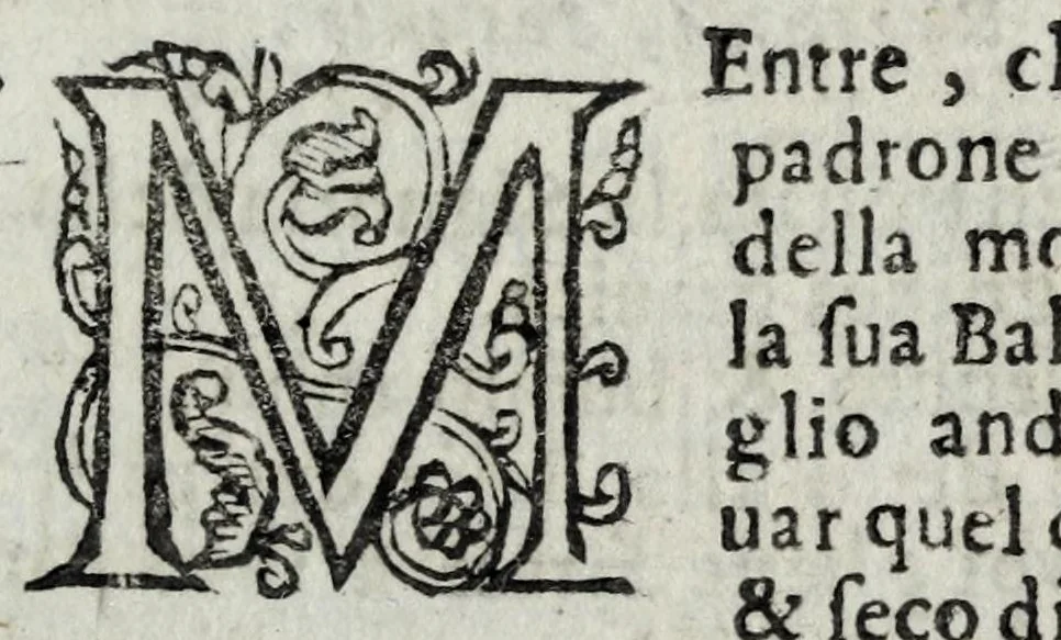 An illustration from Il cavallarizzo, leaf 37