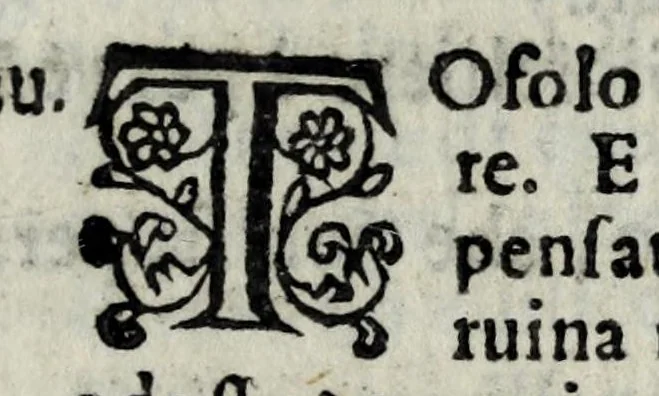 An illustration from Il cavallarizzo, leaf 83