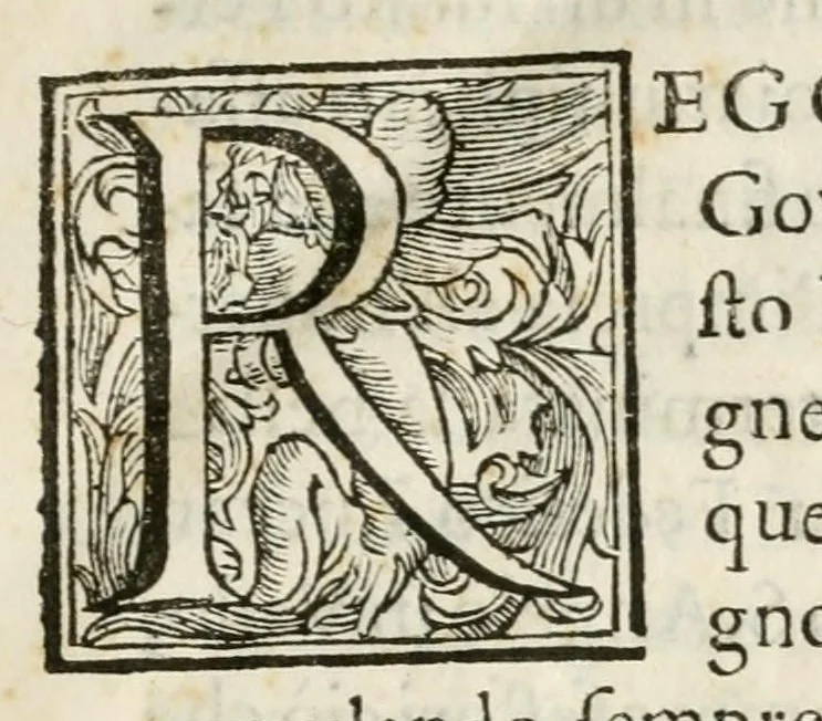 An illustration from Il centesimo dell'anno M.DC.XCV. celebrato in Roma dall'Accademia del disegno : essendo prencipe il signor cavalier Carlo Fontana architetto, 1696, leaf 3