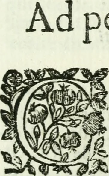 An illustration from Il clero secolare nel svo splendore; o vero, Della vita comvne chericale; trattato, 1688, leaf 66