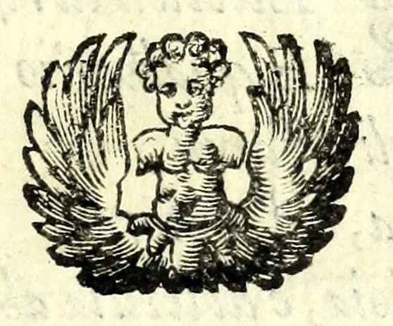 An illustration from Il Clorindo, tragedia pastorale, 1603, leaf 55