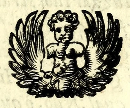 An illustration from Il Clorindo, tragedia pastorale, 1603, leaf 91