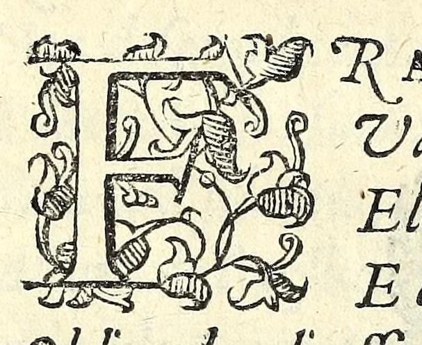 An illustration from Il Clorindo, tragedia pastorale, 1604, leaf 56