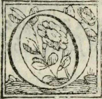 An illustration from Il commodo : comedia d'Antonio Landi con i suoi intermedii : recitata nelle nozze de l'illustriss. & eccellentiss. s. il S. Duca di Firenze l'anno 1539, 1566, leaf 74