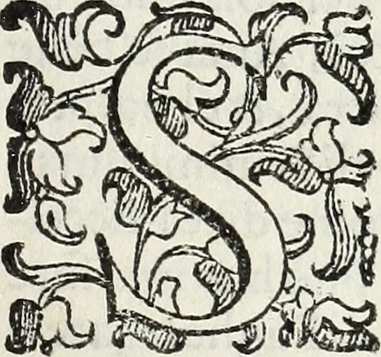 An illustration from Il compendio della mvsica, nel qvale brevemente si tratta dell' arte del contrapunto, diviso in qvatro libri, 1588, leaf 114