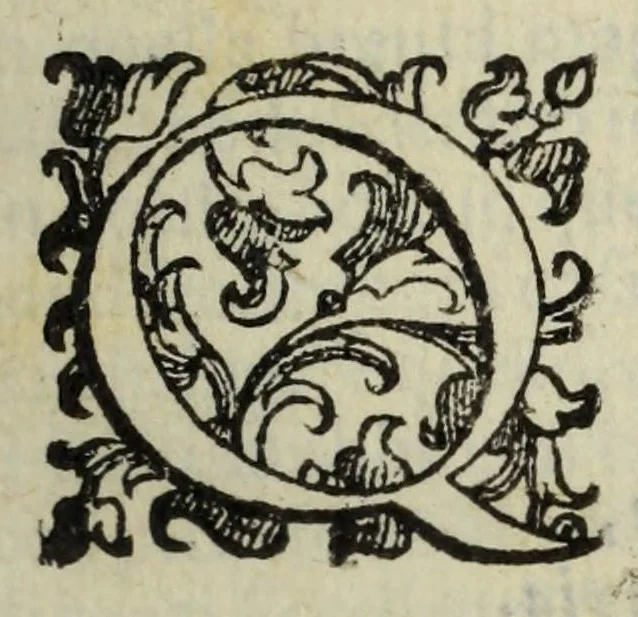 An illustration from Il compendio della musica, nel quale brevemente si tratta dell'arte del contrapunto : diviso in quatro libri, 1588, leaf 9