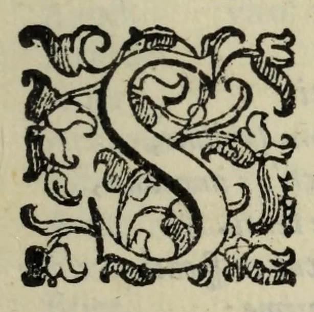 An illustration from Il compendio della musica, nel quale brevemente si tratta dell'arte del contrapunto : diviso in quatro libri, 1588, leaf 9