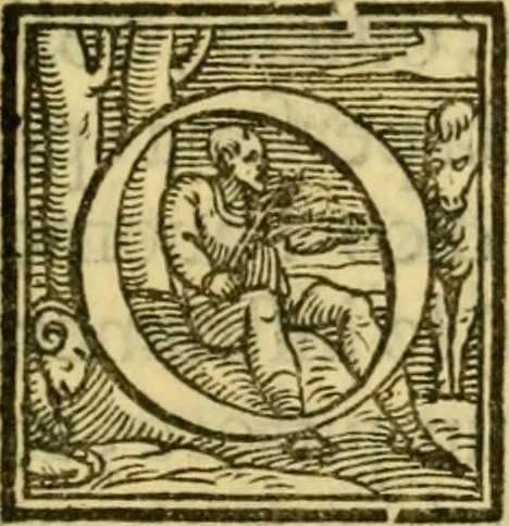 An illustration from Il concilio, et consiglieri del principe : opera, 1560, leaf 14