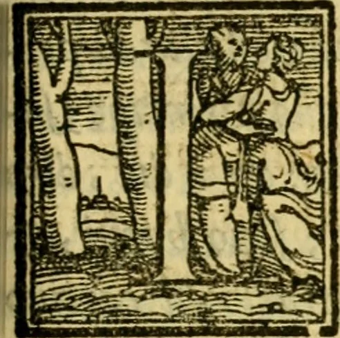 An illustration from Il concilio, et consiglieri del principe : opera, 1560, leaf 30