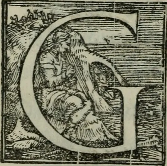 An illustration from Il Constante, 1566, leaf 111