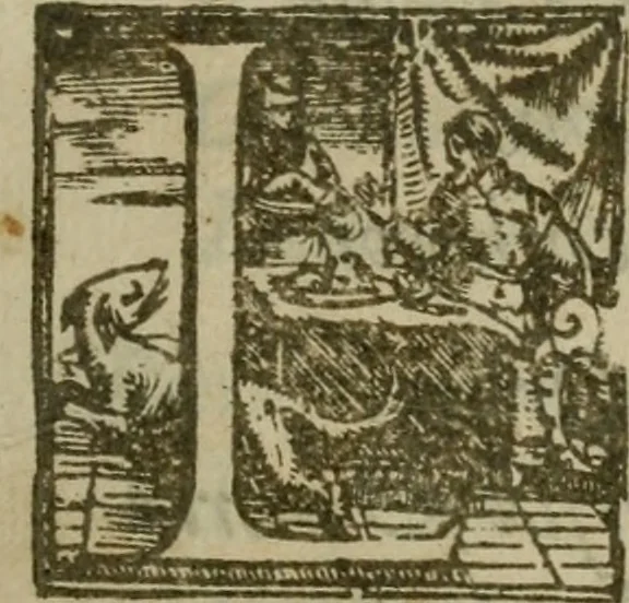 An illustration from Il Constante, 1566, leaf 12