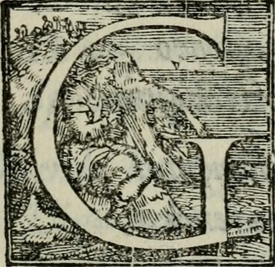 An illustration from Il Constante, 1566, leaf 162