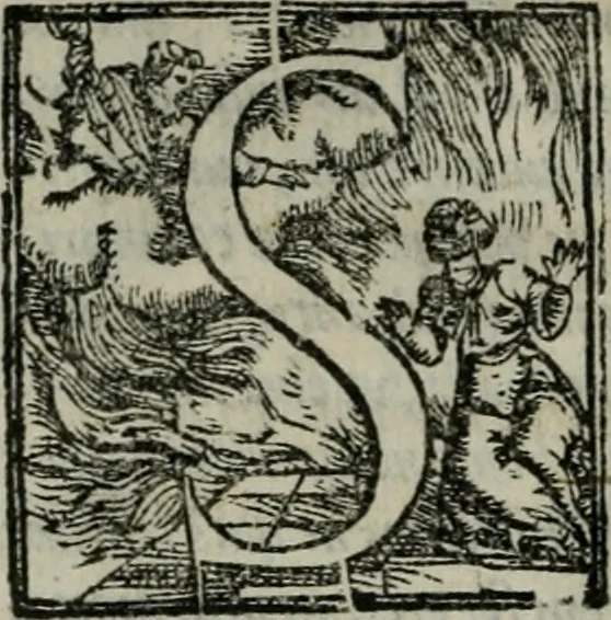 An illustration from Il Constante, 1566, leaf 7