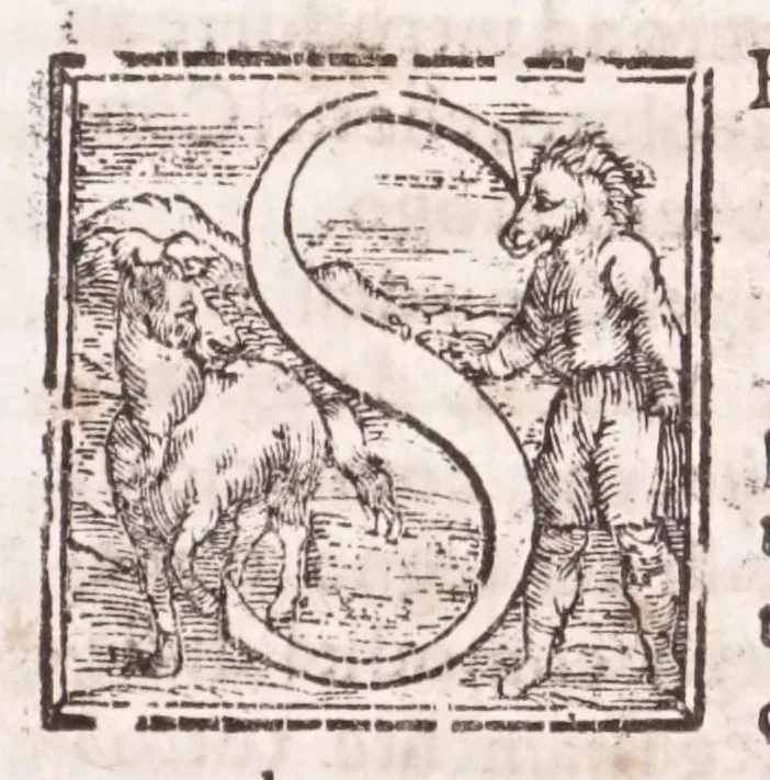 An illustration from Il conuito, ouero, Discorsi di quelle materie che al conuito s'appartengono : doue s'hanno strettamente, e con ordine diligente la diffinitione l'origine, la materia, il luogo, il tempo, l'apparato, i ministri, le feste, i giuochi, i ragionamenti, le circostanze, gl'effetti le deità, & imagini numi tutelari de'conuiti ... : con l'vso di varie nattioni di Greci, Romani, Egittij, Persiani, Ebrei, et d'altri, tanto de gl'antichi quanto de nostri tempi : e con vn discorso, a qual parte della filosofia si subordini il conuito, 1615, leaf 171