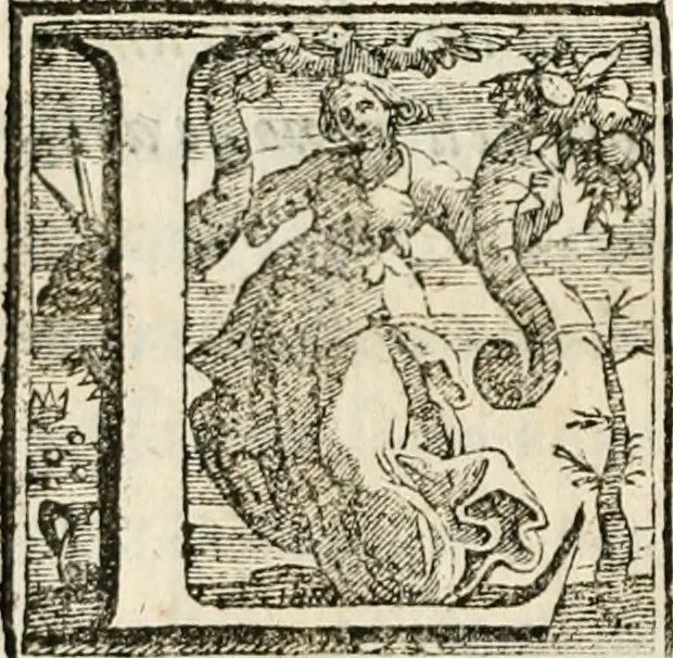 An illustration from Il Coralbo, del cavalier Gio: Francesco Biondi ... Segue la Donzella desterrada .., 1632, leaf 183