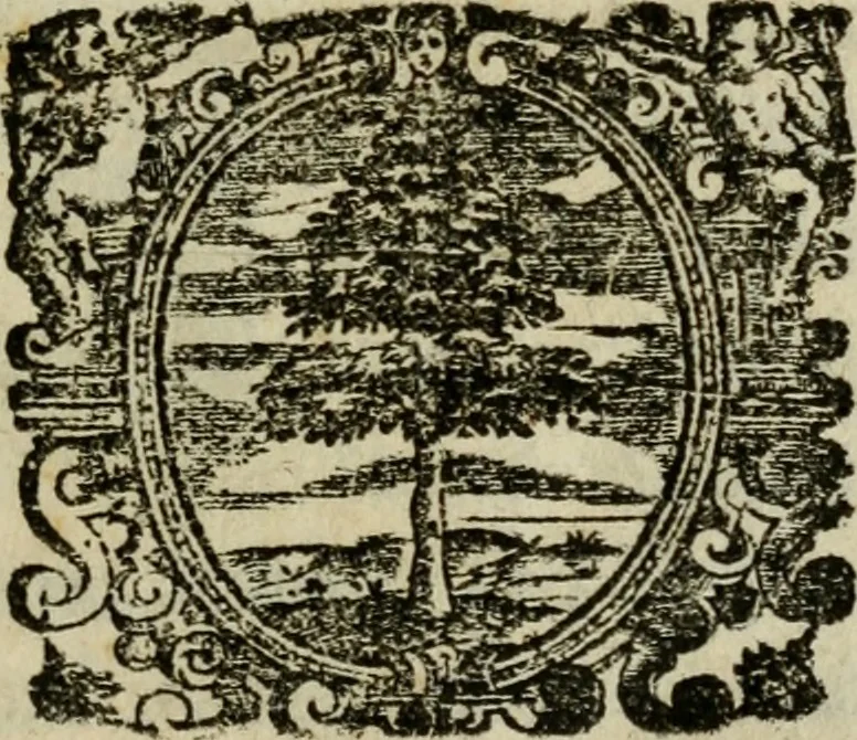 An illustration from Il Coralbo, del cavalier Gio: Francesco Biondi ... Segue la Donzella desterrada .., 1632, leaf 4