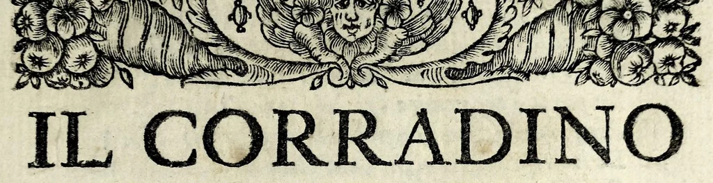 An illustration from Il Corradino : tragedia, 1694, leaf 19