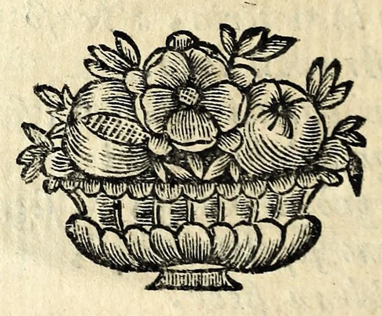 An illustration from Il Corradino : tragedia, 1694, leaf 38