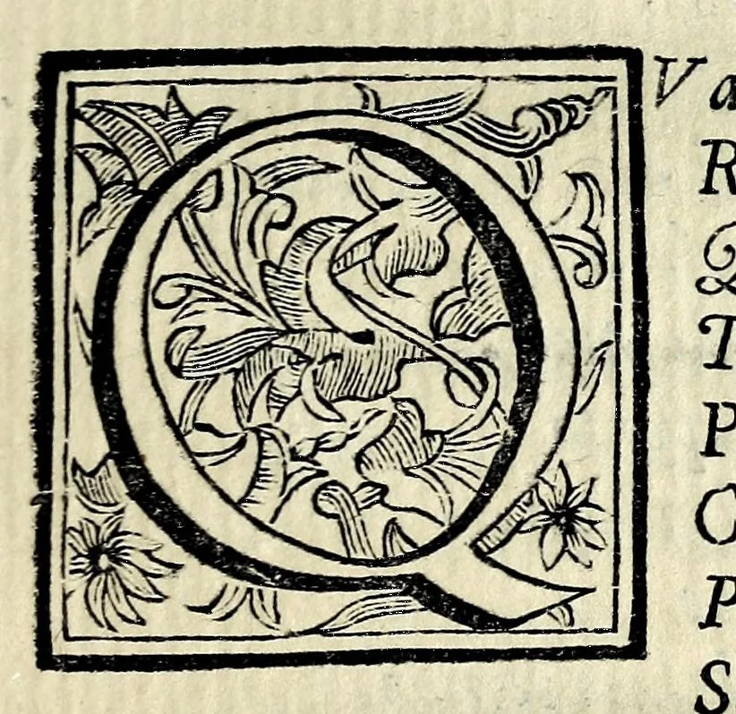 An illustration from Il Corradino : tragedia, 1694, leaf 41