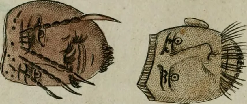 An illustration from Il costume antico e moderno, o, storia del governo, della milizia, della religione, delle arti, scienze ed usanze di tutti i popoli antichi e moderni, provata coi monumenti dell'antichità e rappresentata cogli analoghi disegni dal dottor Giulio Ferrario : America, 1826, leaf 115