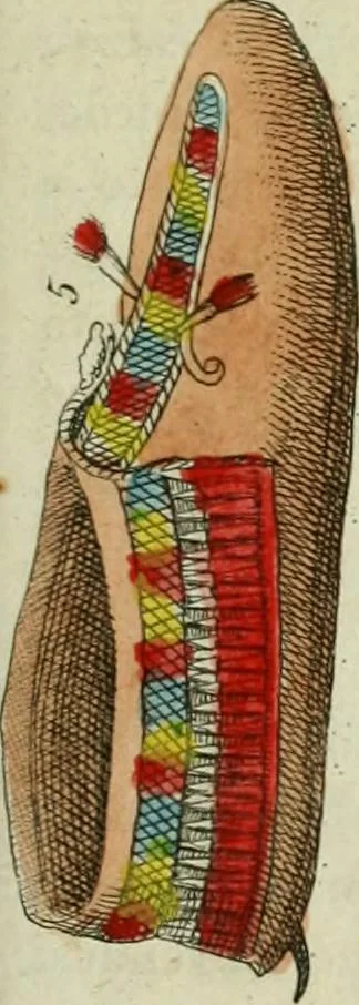 An illustration from Il costume antico e moderno, o, storia del governo, della milizia, della religione, delle arti, scienze ed usanze di tutti i popoli antichi e moderni, provata coi monumenti dell'antichità e rappresentata cogli analoghi disegni dal dottor Giulio Ferrario : America, 1826, leaf 368