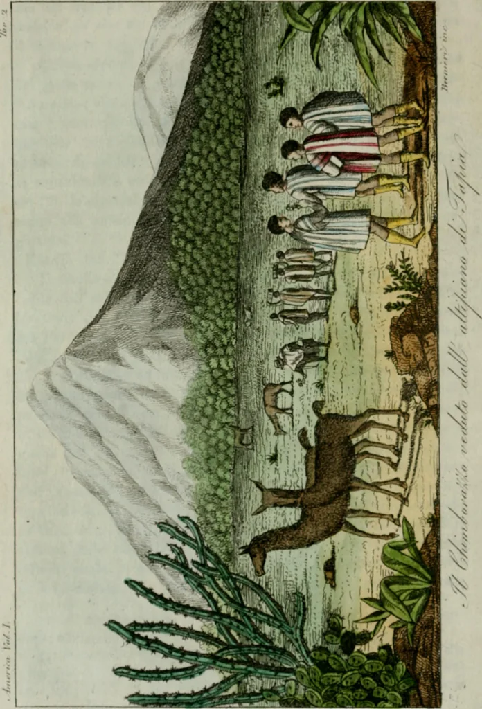 An illustration from Il costume antico e moderno, o, storia del governo, della milizia, della religione, delle arti, scienze ed usanze di tutti i popoli antichi e moderni, provata coi monumenti dell'antichità e rappresentata cogli analoghi disegni dal dottor Giulio Ferrario : America, 1826, leaf 47