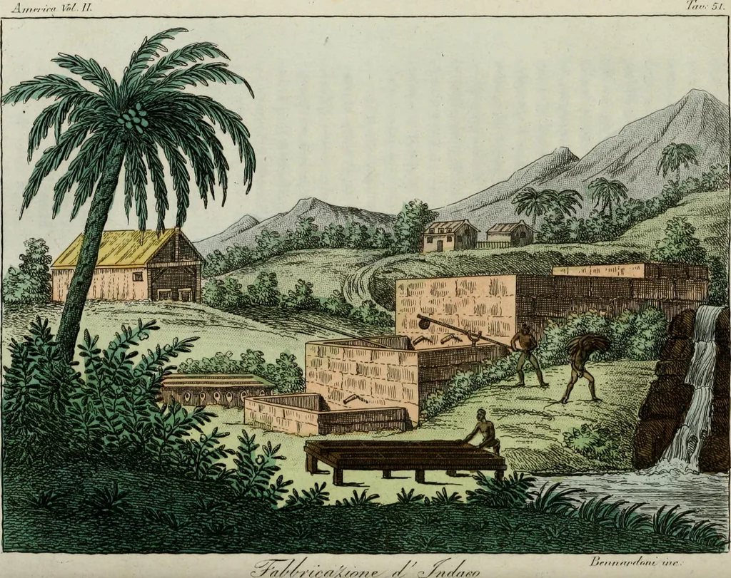 An illustration from Il costume antico e moderno, o, storia del governo, della milizia, della religione, delle arti, scienze ed usanze di tutti i popoli antichi e moderni, provata coi monumenti dell'antichità e rappresentata cogli analoghi disegni dal dottor Giulio Ferrario : America, 1826, leaf 575