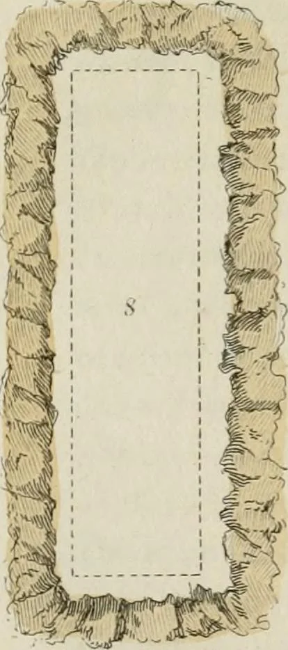 An illustration from Il costume antico e moderno, o, storia del governo, della milizia, della religione, delle arti, scienze ed usanze di tutti i popoli antichi e moderni, provata coi monumenti dell'antichità e rappresentata cogli analoghi disegni dal dottor Giulio Ferrario : America, 1826, leaf 781