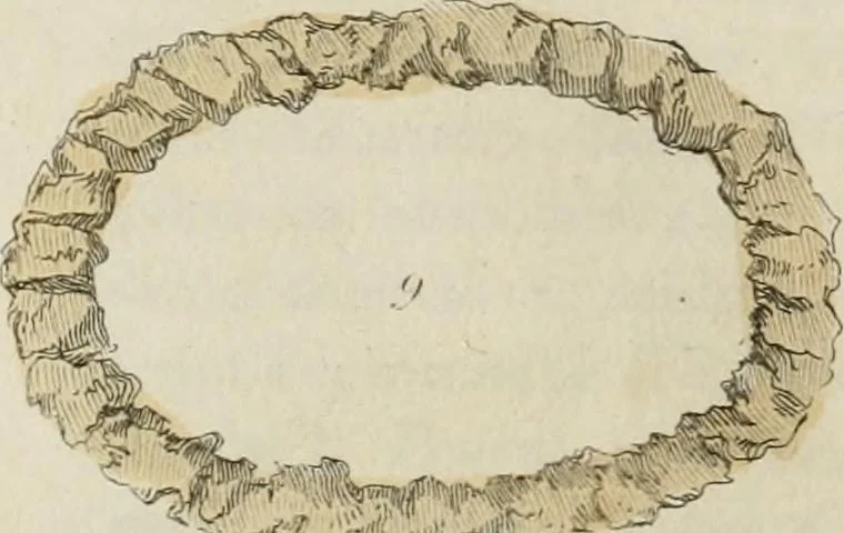 An illustration from Il costume antico e moderno, o, storia del governo, della milizia, della religione, delle arti, scienze ed usanze di tutti i popoli antichi e moderni, provata coi monumenti dell'antichità e rappresentata cogli analoghi disegni dal dottor Giulio Ferrario : America, 1826, leaf 781