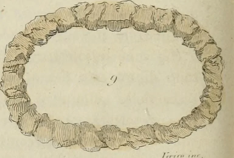 An illustration from Il costume antico e moderno, o, storia del governo, della milizia, della religione, delle arti, scienze ed usanze di tutti i popoli antichi e moderni, provata coi monumenti dell'antichità e rappresentata cogli analoghi disegni dal dottor Giulio Ferrario : America, 1826, leaf 781