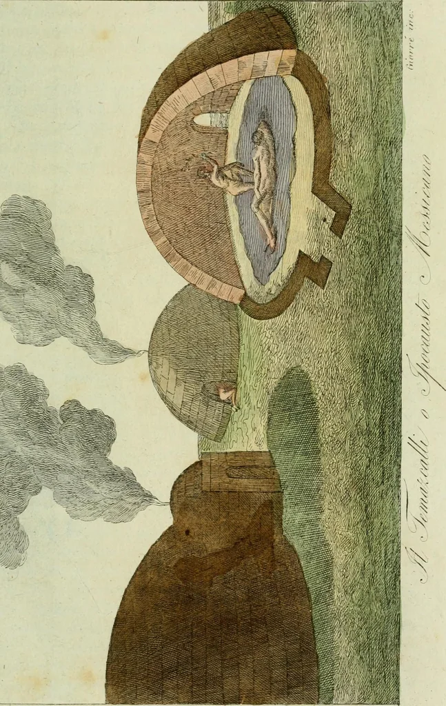 An illustration from Il costume antico e moderno, o, storia del governo, della milizia, della religione, delle arti, scienze ed usanze di tutti i popoli antichi e moderni, provata coi monumenti dell'antichità e rappresentata cogli analoghi disegni dal dottor Giulio Ferrario : America, 1826, leaf 816