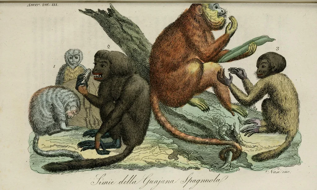 An illustration from Il costume antico e moderno, o, storia del governo, della milizia, della religione, delle arti, scienze ed usanze di tutti i popoli antichi e moderni, provata coi monumenti dell'antichità e rappresentata cogli analoghi disegni dal dottor Giulio Ferrario : America, 1826, leaf 30