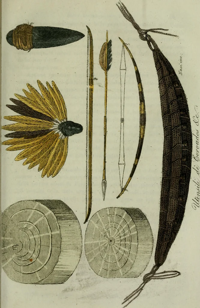 An illustration from Il costume antico e moderno, o, storia del governo, della milizia, della religione, delle arti, scienze ed usanze di tutti i popoli antichi e moderni, provata coi monumenti dell'antichità e rappresentata cogli analoghi disegni dal dottor Giulio Ferrario : America, 1826, leaf 467