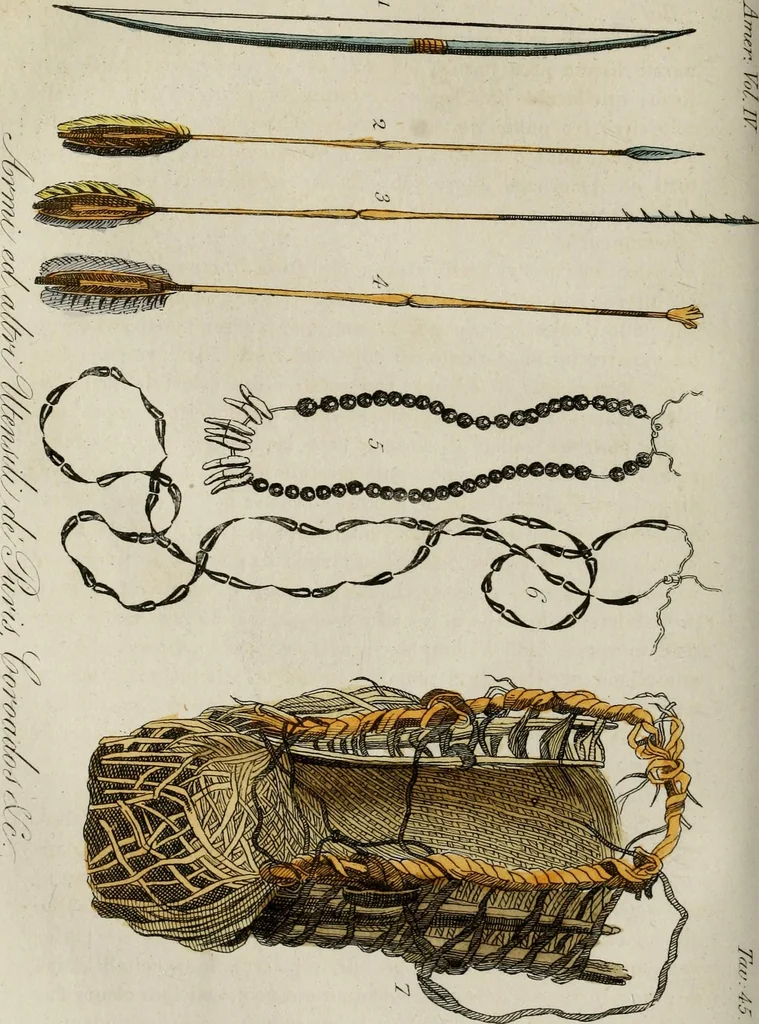An illustration from Il costume antico e moderno, o, storia del governo, della milizia, della religione, delle arti, scienze ed usanze di tutti i popoli antichi e moderni, provata coi monumenti dell'antichità e rappresentata cogli analoghi disegni dal dottor Giulio Ferrario : America, 1826, leaf 474