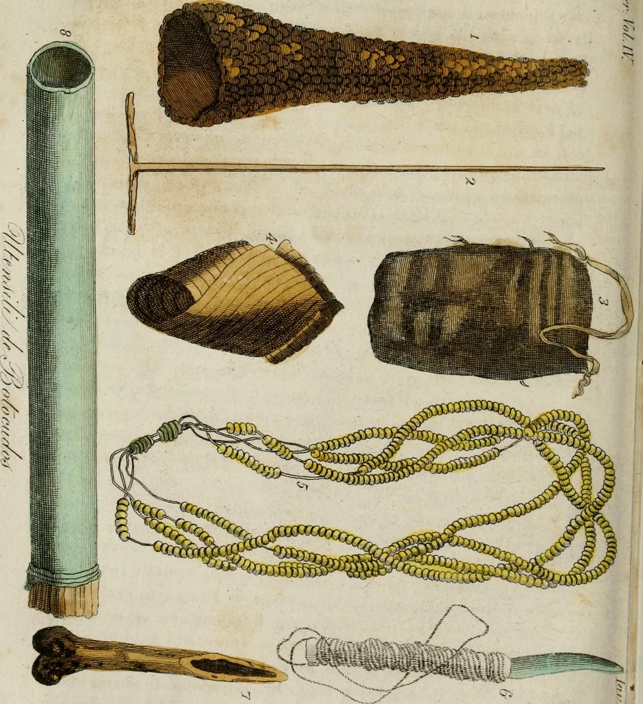 An illustration from Il costume antico e moderno, o, storia del governo, della milizia, della religione, delle arti, scienze ed usanze di tutti i popoli antichi e moderni, provata coi monumenti dell'antichità e rappresentata cogli analoghi disegni dal dottor Giulio Ferrario : America, 1826, leaf 492