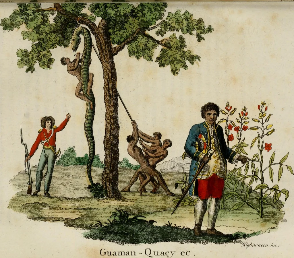 An illustration from Il costume antico e moderno, o, storia del governo, della milizia, della religione, delle arti, scienze ed usanze di tutti i popoli antichi e moderni, provata coi monumenti dell'antichità e rappresentata cogli analoghi disegni dal dottor Giulio Ferrario : America, 1826, leaf 570