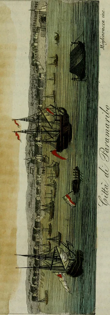 An illustration from Il costume antico e moderno, o, storia del governo, della milizia, della religione, delle arti, scienze ed usanze di tutti i popoli antichi e moderni, provata coi monumenti dell'antichità e rappresentata cogli analoghi disegni dal dottor Giulio Ferrario : America, 1826, leaf 595