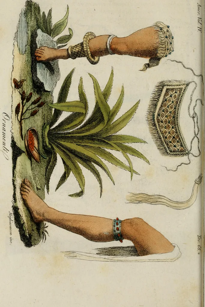 An illustration from Il costume antico e moderno, o, storia del governo, della milizia, della religione, delle arti, scienze ed usanze di tutti i popoli antichi e moderni, provata coi monumenti dell'antichità e rappresentata cogli analoghi disegni dal dottor Giulio Ferrario : America, 1826, leaf 656