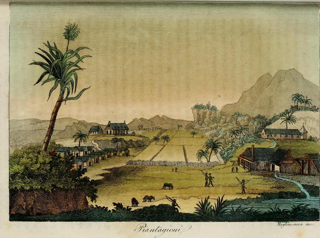 An illustration from Il costume antico e moderno, o, storia del governo, della milizia, della religione, delle arti, scienze ed usanze di tutti i popoli antichi e moderni, provata coi monumenti dell'antichità e rappresentata cogli analoghi disegni dal dottor Giulio Ferrario : America, 1826, leaf 680
