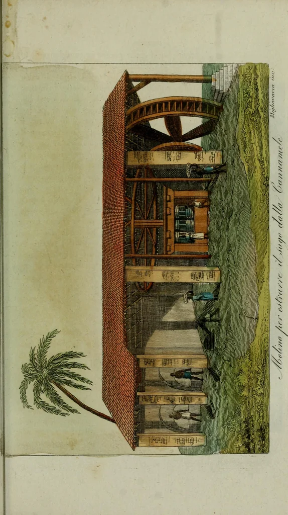 An illustration from Il costume antico e moderno, o, storia del governo, della milizia, della religione, delle arti, scienze ed usanze di tutti i popoli antichi e moderni, provata coi monumenti dell'antichità e rappresentata cogli analoghi disegni dal dottor Giulio Ferrario : America, 1826, leaf 689