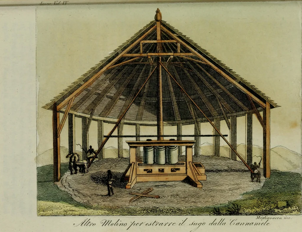 An illustration from Il costume antico e moderno, o, storia del governo, della milizia, della religione, delle arti, scienze ed usanze di tutti i popoli antichi e moderni, provata coi monumenti dell'antichità e rappresentata cogli analoghi disegni dal dottor Giulio Ferrario : America, 1826, leaf 691