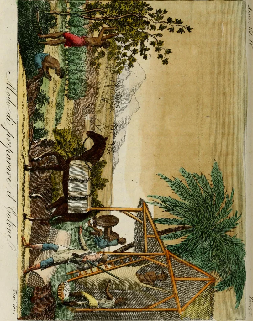 An illustration from Il costume antico e moderno, o, storia del governo, della milizia, della religione, delle arti, scienze ed usanze di tutti i popoli antichi e moderni, provata coi monumenti dell'antichità e rappresentata cogli analoghi disegni dal dottor Giulio Ferrario : America, 1826, leaf 748