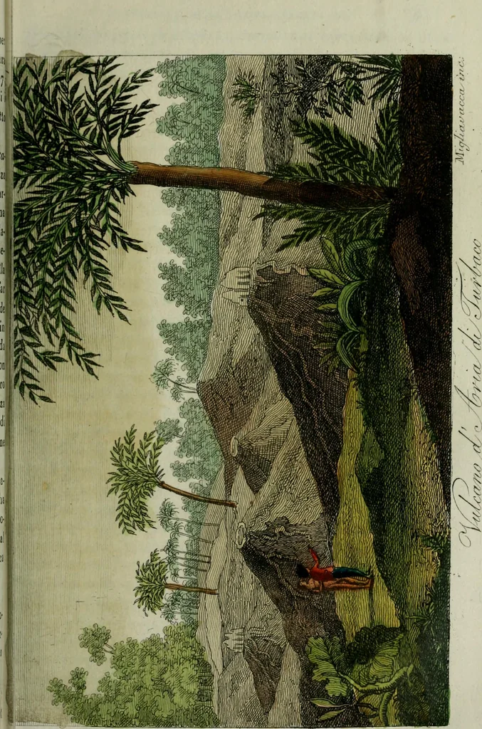 An illustration from Il costume antico e moderno, o, storia del governo, della milizia, della religione, delle arti, scienze ed usanze di tutti i popoli antichi e moderni, provata coi monumenti dell'antichità e rappresentata cogli analoghi disegni dal dottor Giulio Ferrario : America, 1826, leaf 79