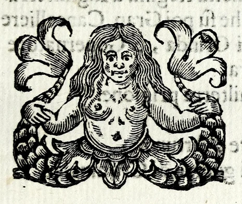 An illustration from Il Cromvele : tragedia, 1673, leaf 17