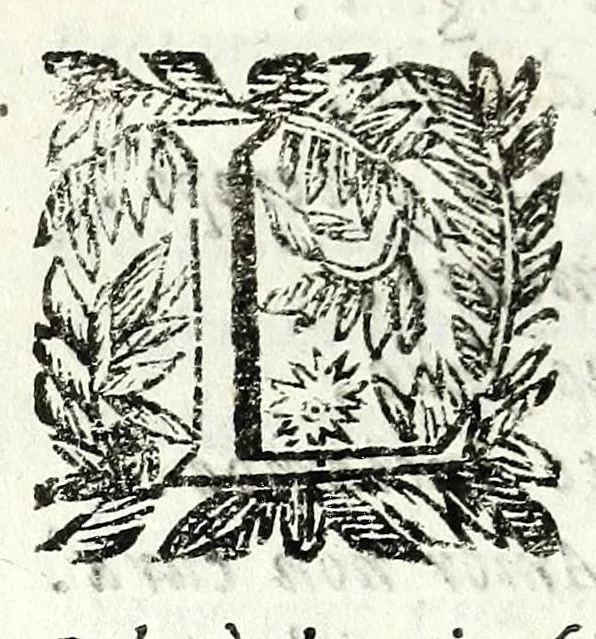 An illustration from Il Cromvele : tragedia, 1673, leaf 48