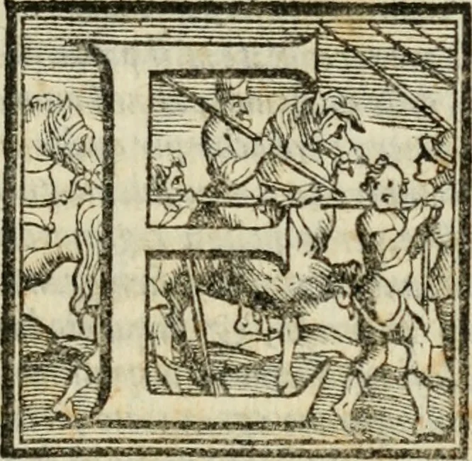 An illustration from Il Decameron di Messer G. Boccacci cittadino fiorentino, 1573, leaf 296