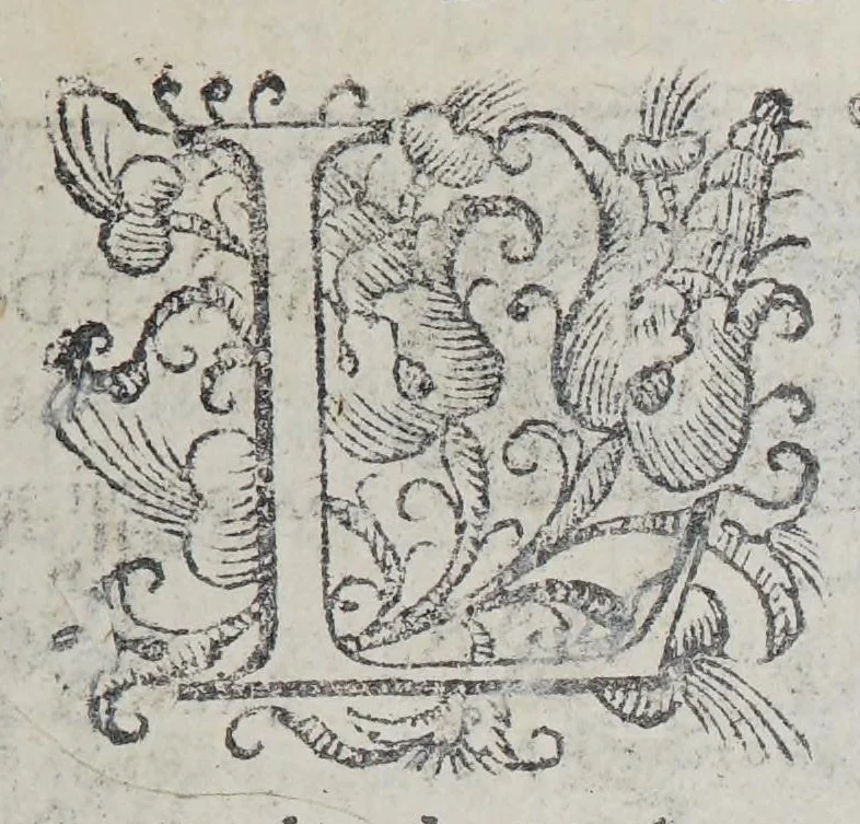 An illustration from Il deuotissimo viaggio di Gerusalemme., 1587, leaf 93