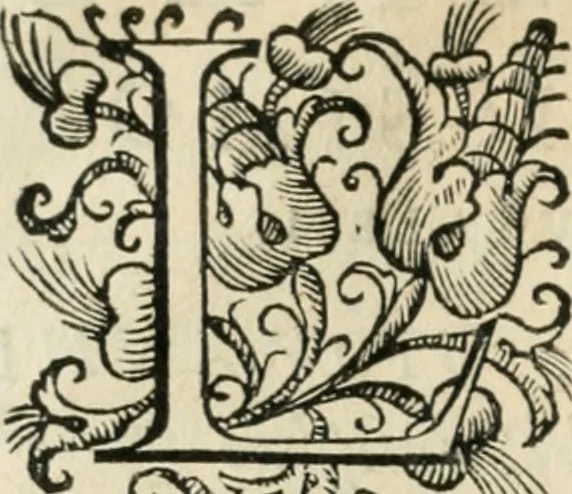 An illustration from Il devotissimo viaggio di Gervsalemme, 1587, leaf 131