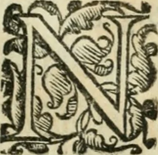 An illustration from Il devotissimo viaggio di Gervsalemme, 1587, leaf 16