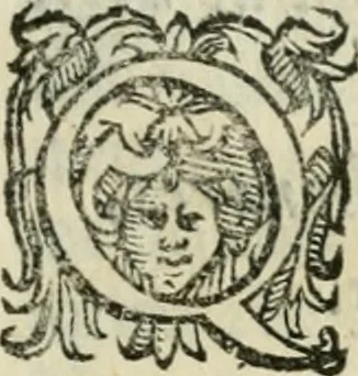 An illustration from Il devotissimo viaggio di Gervsalemme, 1587, leaf 18